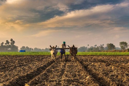 Sustainable Livelihood
