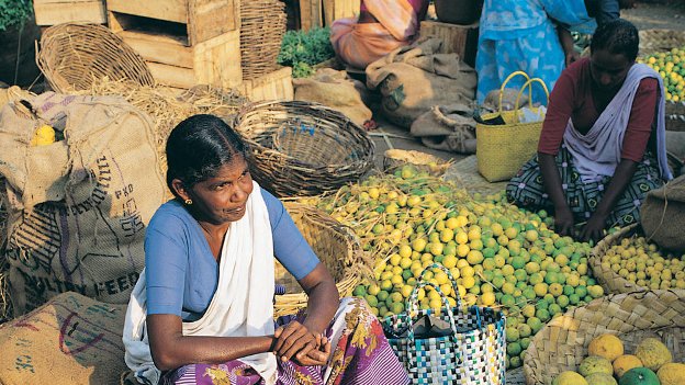 Micro-Entrepreneurship Development